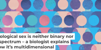 Some people may veer more typically female for some traits, more typically male for others, and intermediate for still others. aelitta/DigitalVision Vectors via Getty Images